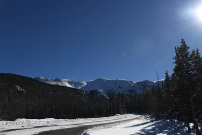 DSC_4974 (Large).JPG